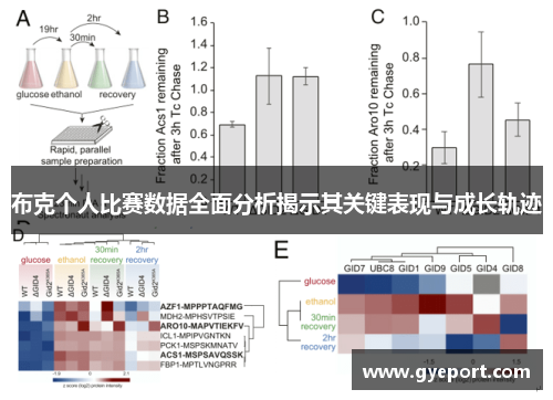 布克个人比赛数据全面分析揭示其关键表现与成长轨迹 布克个人比赛数据全面分析揭示其关键表现与成长轨迹