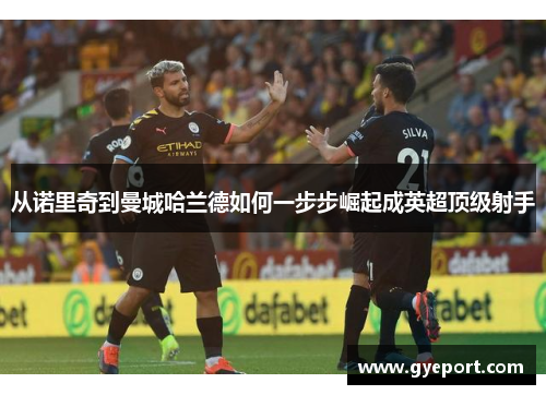 从诺里奇到曼城哈兰德如何一步步崛起成英超顶级射手 从诺里奇到曼城哈兰德如何一步步崛起成英超顶级射手