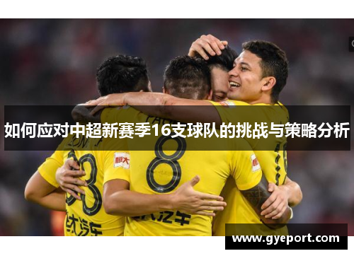 如何应对中超新赛季16支球队的挑战与策略分析