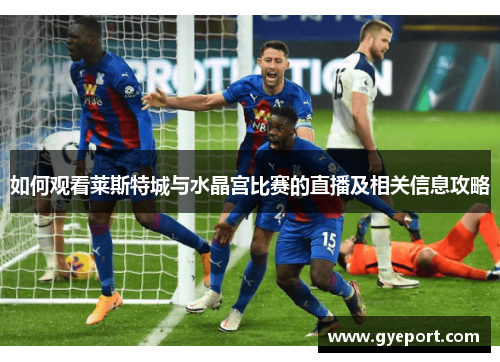 如何观看莱斯特城与水晶宫比赛的直播及相关信息攻略 如何观看莱斯特城与水晶宫比赛的直播及相关信息攻略