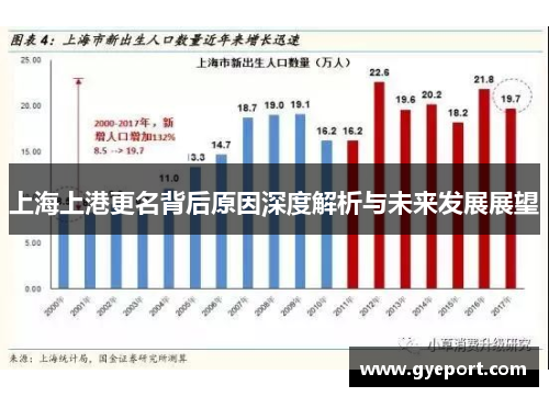 上海上港更名背后原因深度解析与未来发展展望 上海上港更名背后原因深度解析与未来发展展望