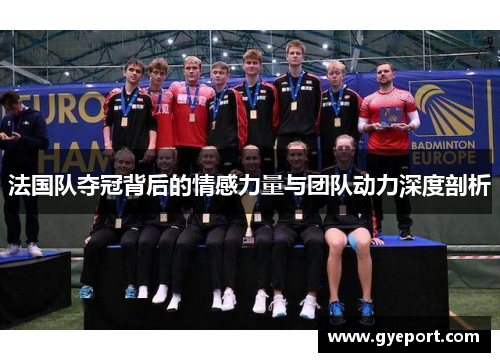 法国队夺冠背后的情感力量与团队动力深度剖析 法国队夺冠背后的情感力量与团队动力深度剖析