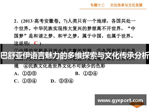 巴舒亚伊语言魅力的多维探索与文化传承分析 巴舒亚伊语言魅力的多维探索与文化传承分析