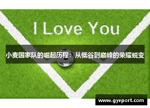 小麦国家队的崛起历程：从低谷到巅峰的荣耀蜕变